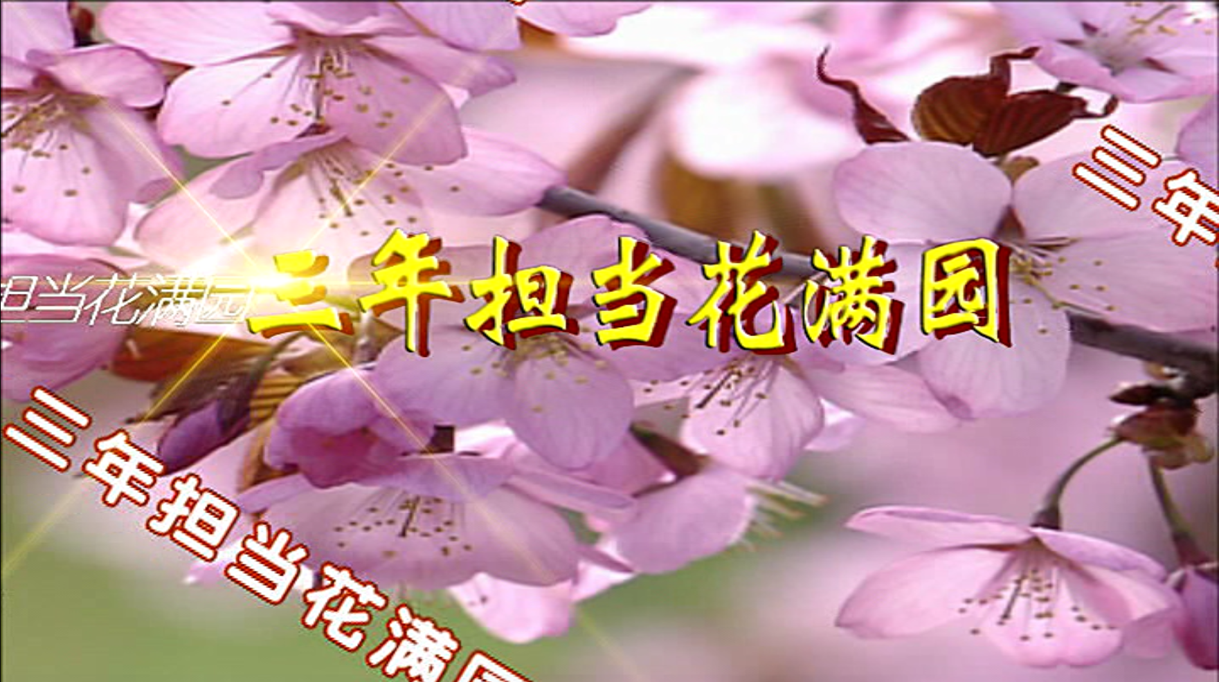 三年担当花满园2