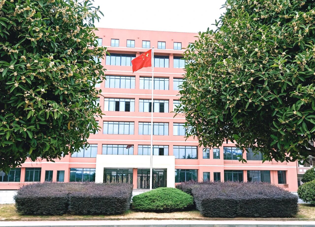 湖口二中：三秋桂子 满园飘香